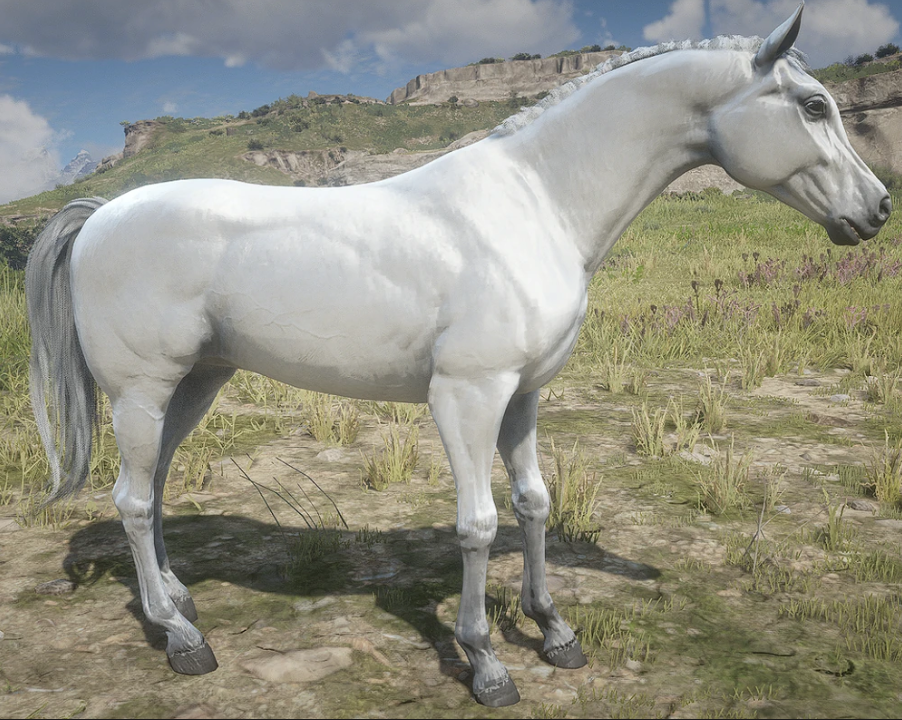 Red Dead Redemption 2: Locations and comparison of all rare Arabian horses in RDR 2.