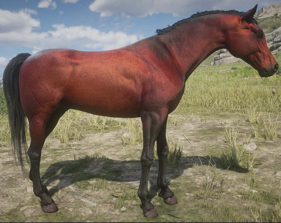 Red Dead Redemption 2: Locations and comparison of all rare Arabian horses in RDR 2.