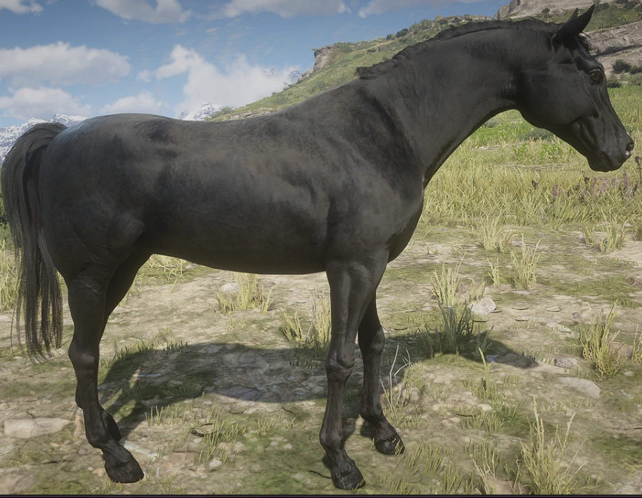 Red Dead Redemption 2: Locations and comparison of all rare Arabian horses in RDR 2.