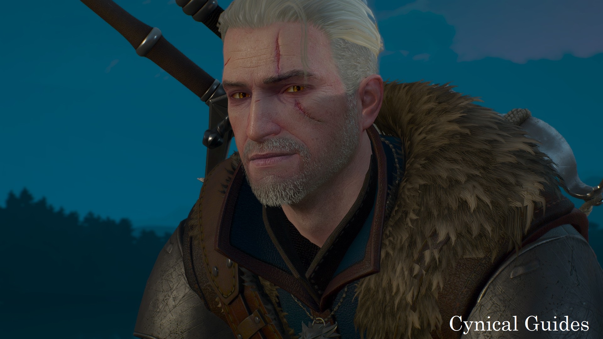 The Witcher 3: Wild Hunt: 100% Achievement Guide: The Witcher 3 - Wild Hunt