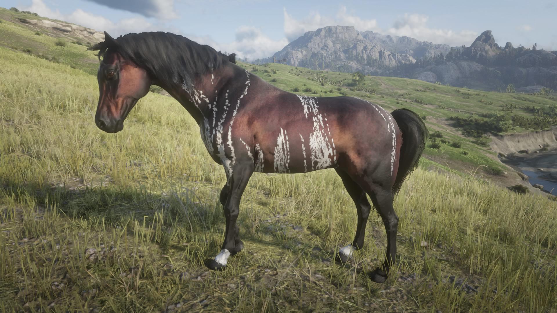 Red Dead Redemption 2: Locations and comparison of all rare Arabian horses in RDR 2.